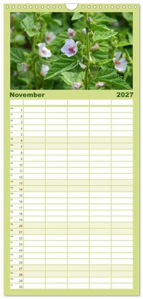 Produktbild: Familienplaner 2027 - Arzneipflanzen mit 5 Spalten (Wandkalender, 21 x 45 cm) CALVENDO