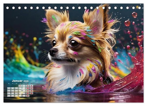 Produktbild: Splash - Hunde im Farbrausch (Tischkalender 2026 DIN A5 quer), CALVENDO Monatskalender