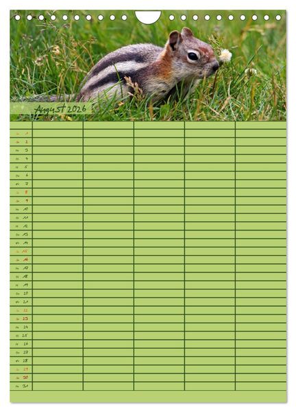 Produktbild: Tierischer Familienplaner (Wandkalender 2026 DIN A4 hoch), CALVENDO Monatskalender