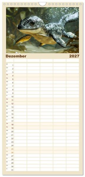 Produktbild: Familienplaner 2027 - Dino-Babys mit 5 Spalten (Wandkalender, 21 x 45 cm) CALVENDO
