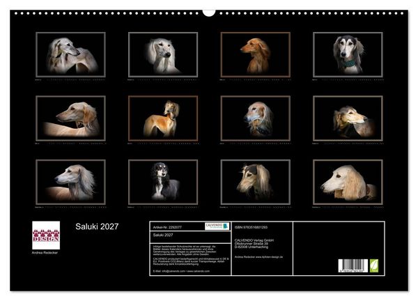 Produktbild: Saluki 2027 (Wandkalender 2027 DIN A2 quer), CALVENDO Monatskalender