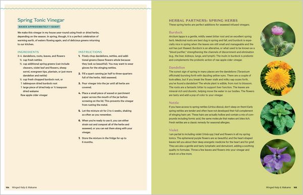Produktbild: Edible & Medicinal Seaweeds