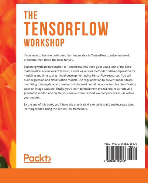 Produktbild: The TensorFlow Workshop
