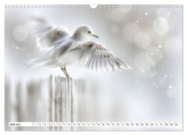 Produktbild: Lichtperlen (Wandkalender 2027 DIN A3 quer), CALVENDO Monatskalender