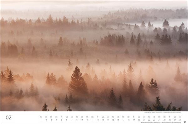 Produktbild: Wunderwelt Wald 2027