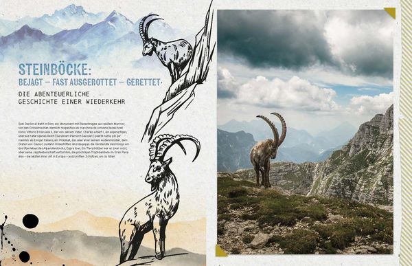 Produktbild: Die Alpen-Bibel
