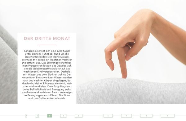 Produktbild: Das Monats-Kochbuch für Schwangere