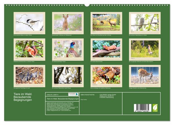 Produktbild: Tiere im Wald. Bezaubernde Begegnungen (hochwertiger Premium Wandkalender 2026 DIN A2 quer), Kunstdruck in Hochglanz