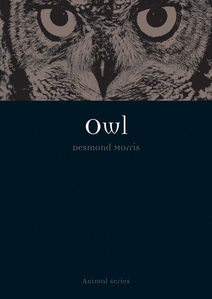 Produktbild: Owl