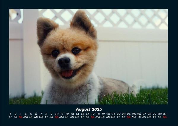 Produktbild: Hunde 2025 Fotokalender DIN A4