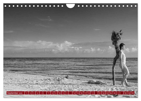 Produktbild: Haut(e) Couture (Wandkalender 2026 DIN A4 quer), CALVENDO Monatskalender