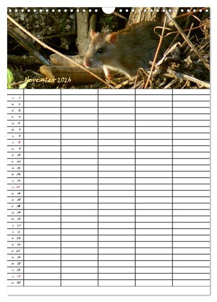 Produktbild: Bauernhoftiere Familienplaner (Wandkalender 2026 DIN A3 hoch), CALVENDO Monatskalender