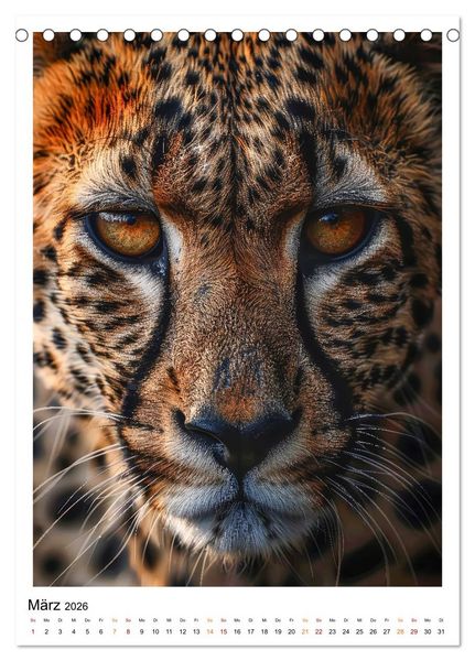 Produktbild: Afrikas Tierwelt - imposante K&ouml;pfe (Tischkalender 2026 DIN A5 hoch), CALVENDO Monatskalender