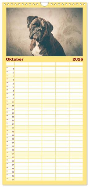 Produktbild: Familienplaner 2026 - Deutscher Boxer mit 5 Spalten (Wandkalender, 21 x 45 cm) CALVENDO