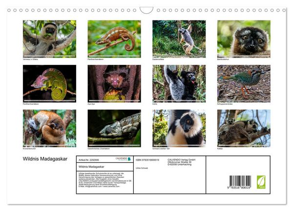 Produktbild: Wildnis Madagaskar (Wandkalender 2027 DIN A3 quer), CALVENDO Monatskalender