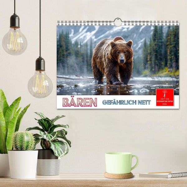 Produktbild: B&auml;ren - gef&auml;hrlich nett (Wandkalender 2026 DIN A4 quer), CALVENDO Monatskalender
