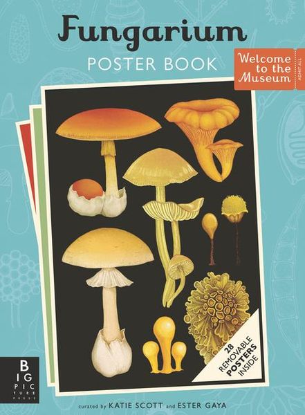 Produktbild: Fungarium Poster Book