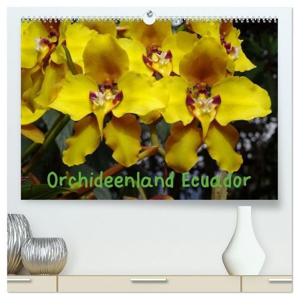 Orchideenland Ecuador (hochwertiger Premium Wandkalender 2026 DIN A2 quer), Kunstdruck in Hochglanz