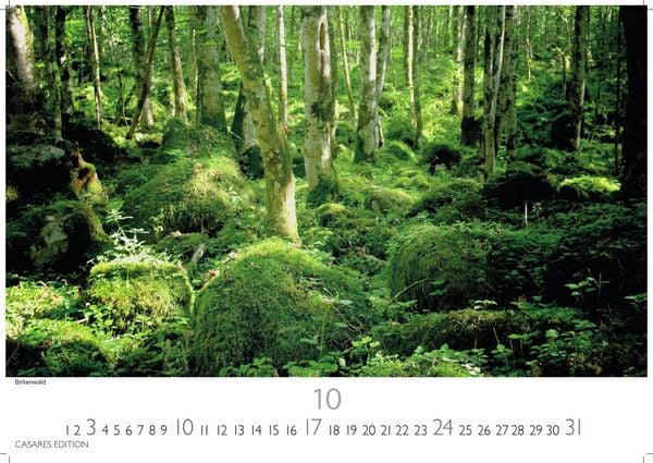 Produktbild: Schweden Kalender 2027 &ndash; Wandkalender | Fotokalender Nordeuropa 24x35cm - Naturerlebnisse & Landschaften des Nordens &ndash; Hochwertiger . mit beeindruckenden Fotos