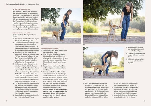 Produktbild: Raumdenken&reg; in der Hundeerziehung