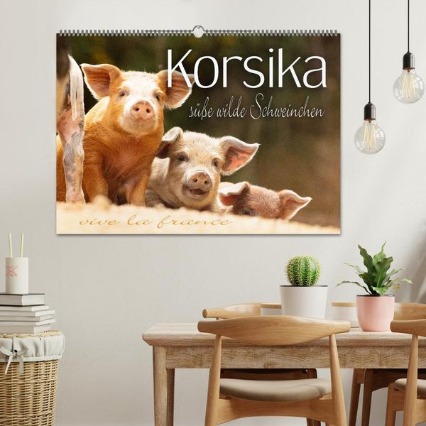 Produktbild: Korsika - s&uuml;&szlig;e, wilde Schweinchen (Wandkalender 2026 DIN A2 quer), CALVENDO Monatskalender