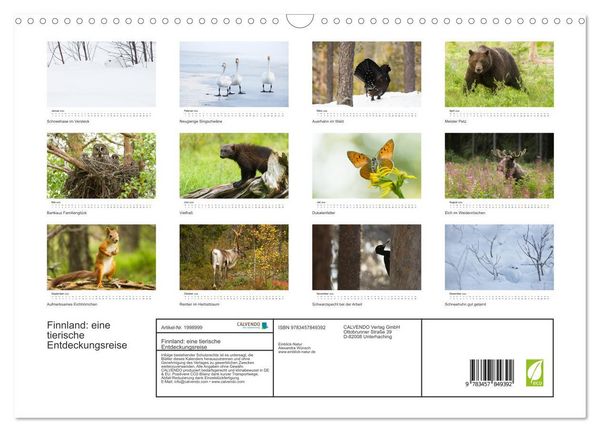 Produktbild: Finnland: eine tierische Entdeckungsreise (Wandkalender 2026 DIN A3 quer), CALVENDO Monatskalender