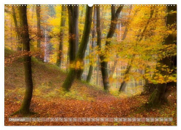 Produktbild: Atelier Wald - gemalt mit Licht (Wandkalender 2026 DIN A2 quer), CALVENDO Monatskalender