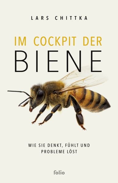 Produktbild: Im Cockpit der Biene