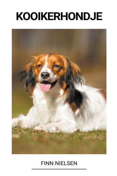Produktbild: Kooikerhondje