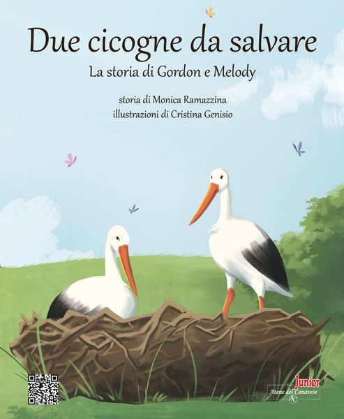 Produktbild: Due cicogne da salvare. La storia di Gordon e Melody