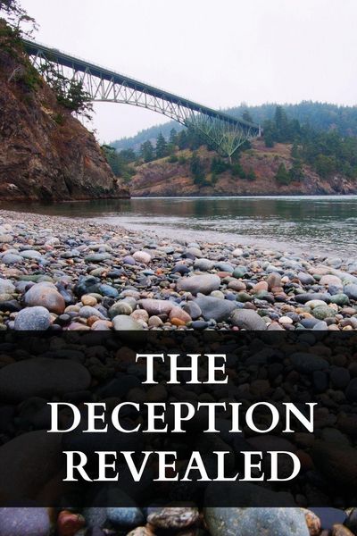 Produktbild: The deception revealed