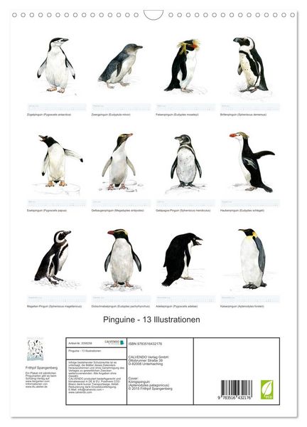 Produktbild: Pinguine - 13 Illustrationen (Wandkalender 2026 DIN A3 hoch), CALVENDO Monatskalender