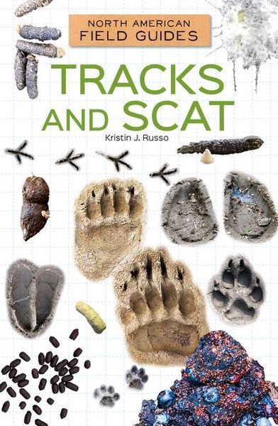 Produktbild: Tracks and Scat