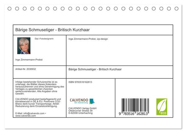 Produktbild: B&auml;rige Schmusetiger - Britisch Kurzhaar (Tischkalender 2026 DIN A5 quer), CALVENDO Monatskalender