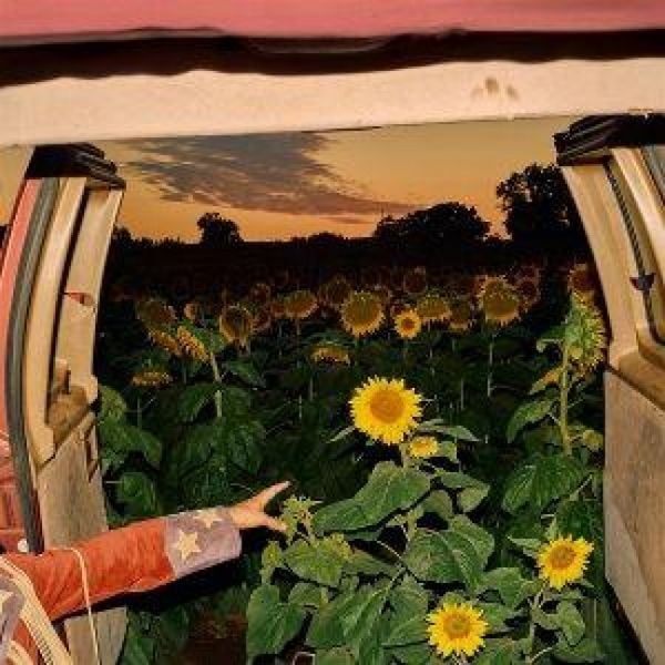 Produktbild: Little Wide Open