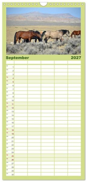 Produktbild: Familienplaner 2027 - Wilde Pferde &bull; Mustangs in USA mit 5 Spalten (Wandkalender, 21 x 45 cm) CALVENDO