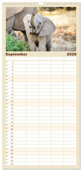 Produktbild: Familienplaner 2026 - Babyelefanten mit 5 Spalten (Wandkalender, 21 x 45 cm) CALVENDO