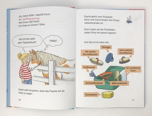 Produktbild: Lesen lernen mit Conni: Conni und das wilde Pony