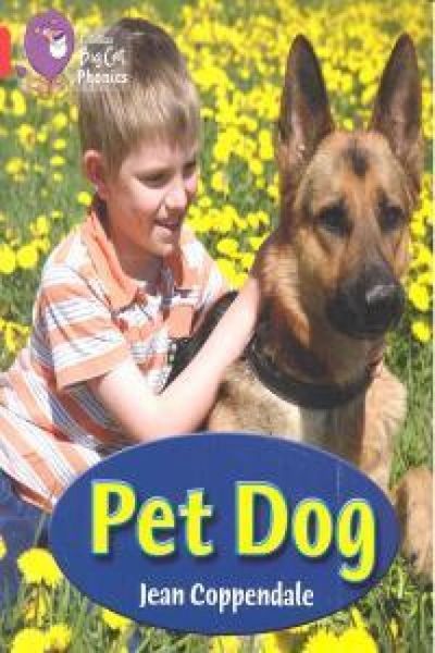 Produktbild: Big Cat Phonics - Pet Dog