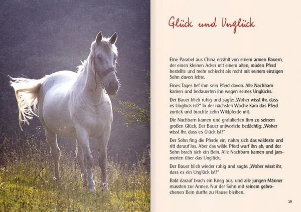 Produktbild: Die goldene Schatzkiste