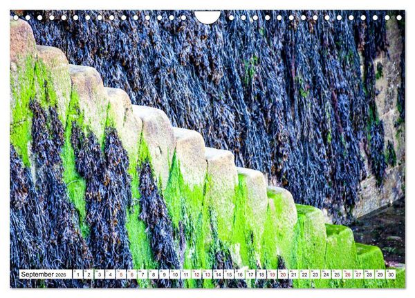 Produktbild: Normandie Die Farben der Ebbe (Wandkalender 2026 DIN A4 quer), CALVENDO Monatskalender