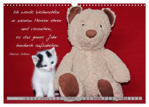 Produktbild: Katzenkinder - zauberhafte Wesen (Wandkalender 2026 DIN A3 quer), CALVENDO Monatskalender