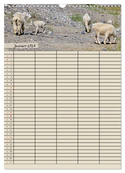 Produktbild: Tierischer Familienplaner (Wandkalender 2026 DIN A3 hoch), CALVENDO Monatskalender