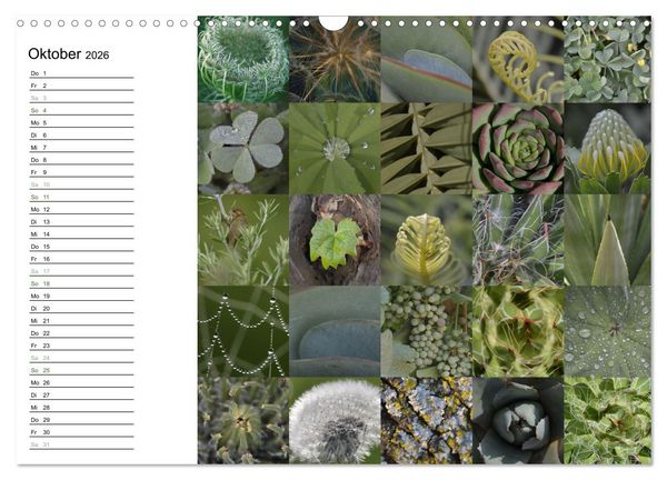 Produktbild: Farbenkaleidoskop (Wandkalender 2026 DIN A3 quer), CALVENDO Monatskalender