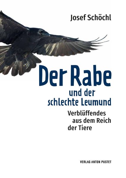 Produktbild: Der Rabe und der schlechte Leumund