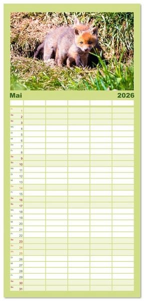 Produktbild: Familienplaner 2026 - Verspielte Fuchswelpen - Allein zu Haus' mit 5 Spalten (Wandkalender, 21 x 45 cm) CALVENDO
