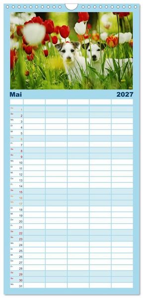 Produktbild: Familienplaner 2027 - Parson Russell Terrier mit 5 Spalten (Wandkalender, 21 x 45 cm) CALVENDO