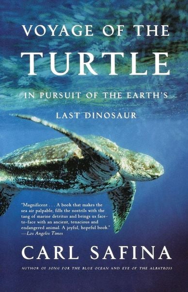 Produktbild: Voyage of the Turtle