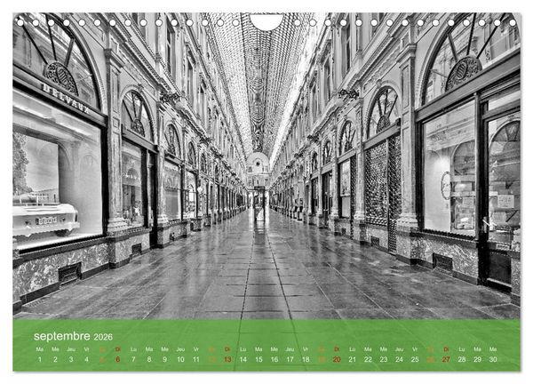 Produktbild: Bruxelles en confinement (Calendrier mural 2026 DIN A4 vertical), CALVENDO calendrier mensuel