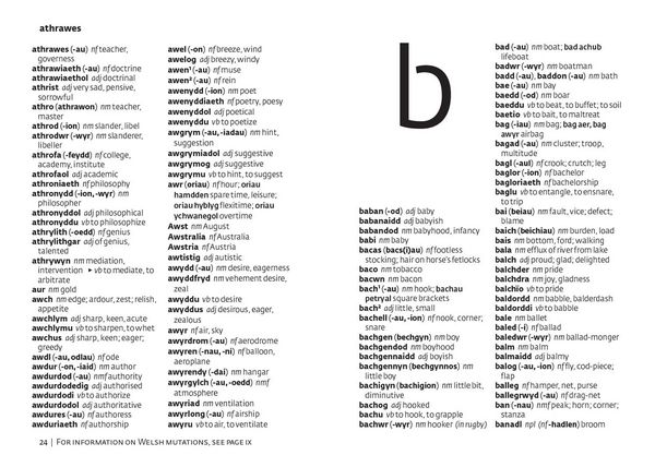 Produktbild: Welsh Gem Dictionary